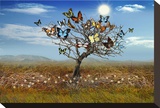 The Butterfly Tree