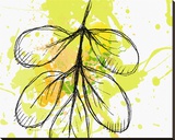 Green Abstract Brush Splash Leaves