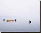 Lake Quinault Fog