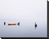 Lake Quinault Fog
