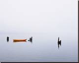 Lake Quinault Fog