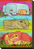 Zoo Animals I