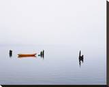 Lake Quinault Fog