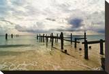 Dock II