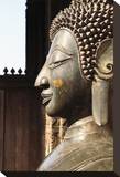 Copper Statue