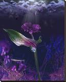 Dearkest Depths