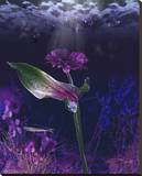 Dearkest Depths