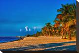 Smathers Beach