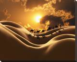 Camel Back Dream