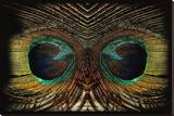 Feathered Owl