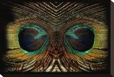 Feathered Owl
