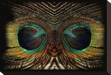 Feathered Owl