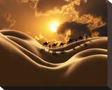 Camel Back Dream