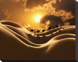 Camel Back Dream