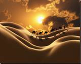 Camel Back Dream