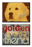 Goldie