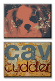 Cavalier Cuddler