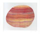 Striated Shell
