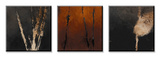 Autumn Compilations I