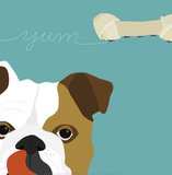 Peek-A-Boo: English Bulldog