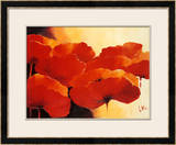 Absolute Beautiful I