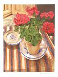 Geranium