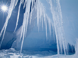 Icicles and Sun  Alta Bay  Antarctica