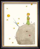 Petit Prince et son Asteroide B 612