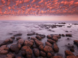 Stromatolites at Dawn  Shark Bay  Western Australia