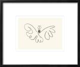 The Butterfly