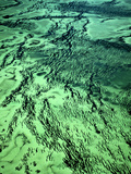 Seagrass Meadows (Aerial)  Zostera Sp  Shark Bay  Western Australia