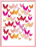 Warm Butterfly Pattern