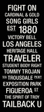 USC: College Town Wall Art