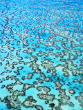 Coral Reefs (Aerial)  Great Barrier Reef  Australia