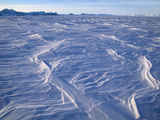 Icescape  Patriot Hills  Antarctica