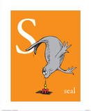 S is for Seal (orange)