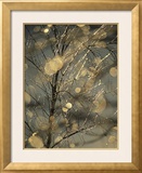 The Frozen Branches of a Small Birch Tree Sparkle in the Sunlight  Waynesboro  Pennsylvania