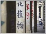 Man Riding Bicycle Along Street  Chikanzhen  Guangdong  Guangdong  China