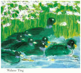 Eight Green Ducks