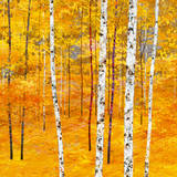 Iridescent Trees IV