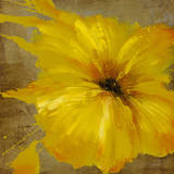 Colourful Flowers I