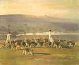 Belvoir Hounds Exercising in the Park