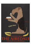 The Airedale