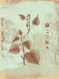 Botanical I