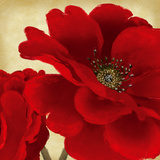 Red Peony I