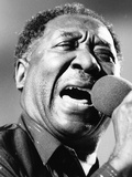 Muddy Waters