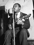 Muddy Waters