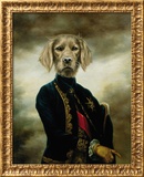The Marquis