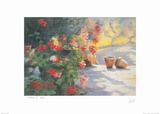 Geranium 9