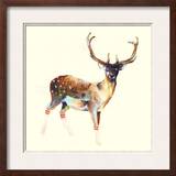 Deer Wearing Gym Socks